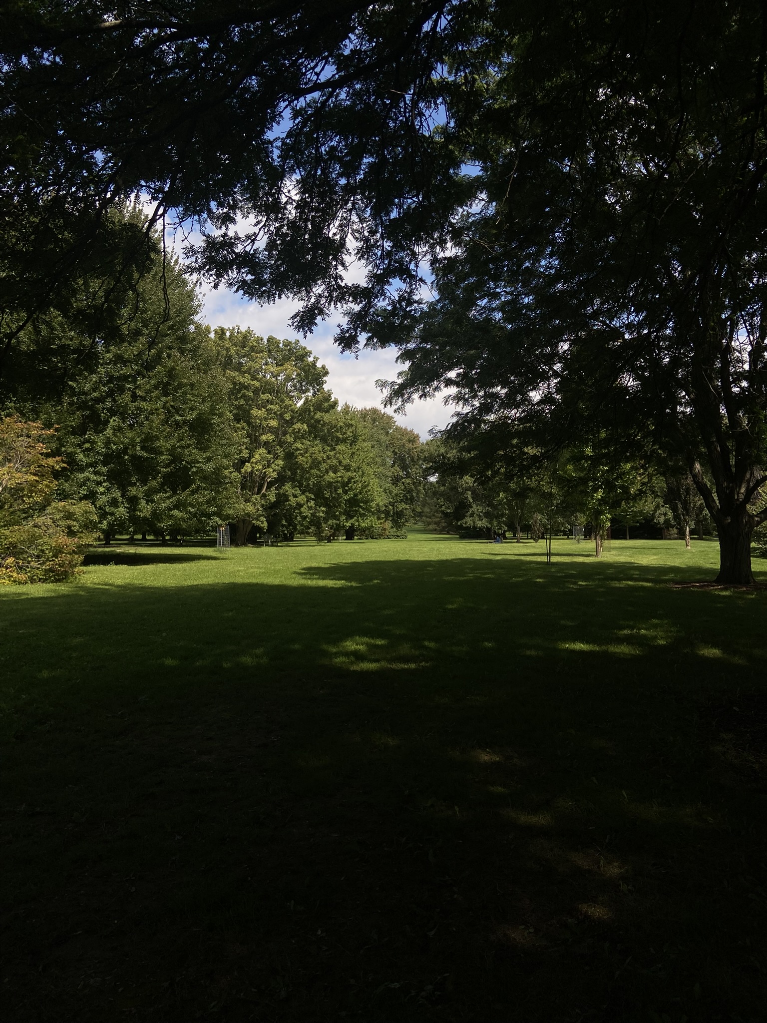 Shady arboretum
