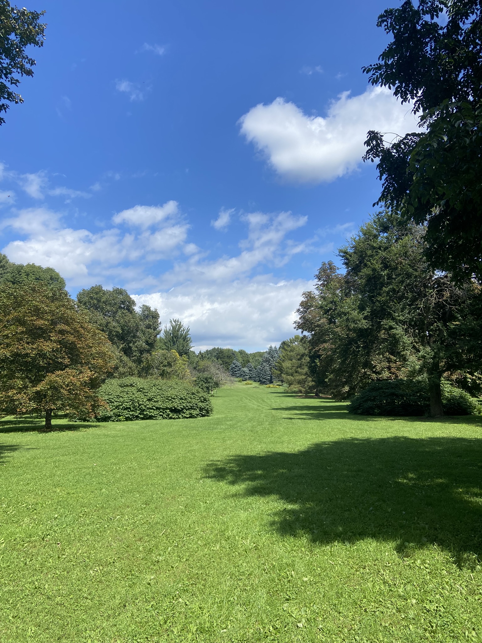 Sunny Arboretum