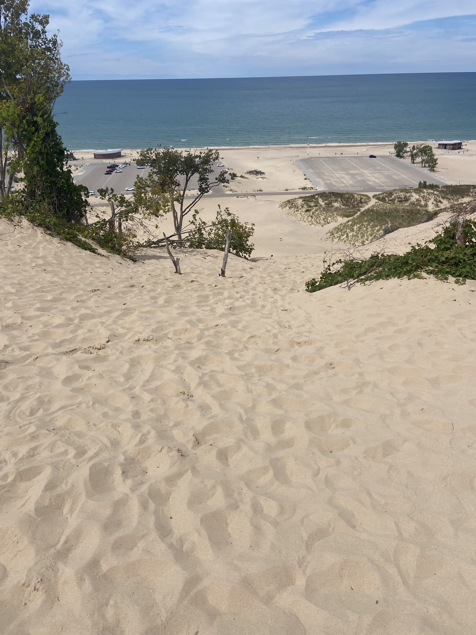 Top of dune